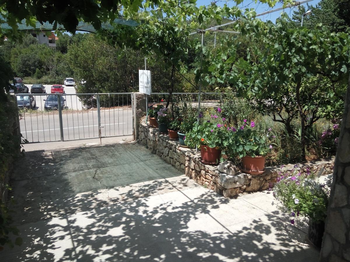 Guesthouse Eljuga Family Stari Grad  Luaran gambar